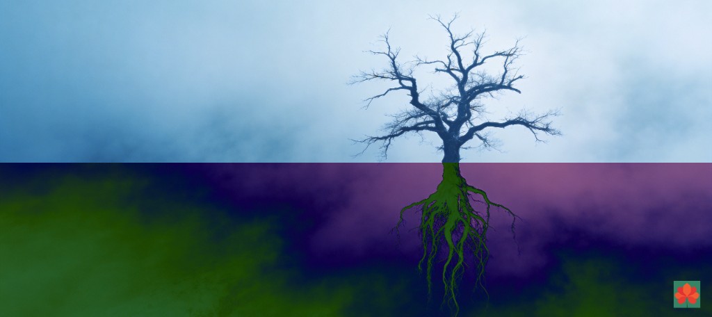 地上枯枝与地下发光线状根的上下对称构图